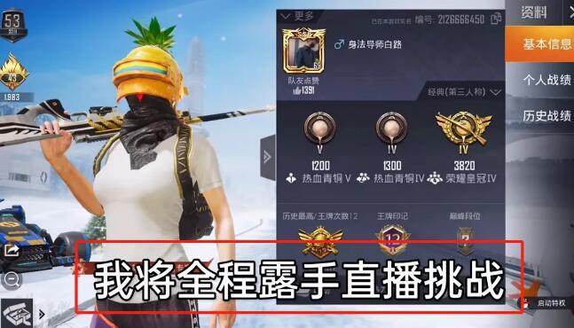 和平精英【SU7内核】辅助