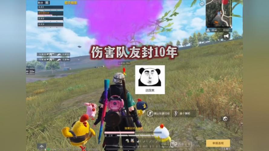 和平精英辅助工具安全指南：保护账号远离封禁