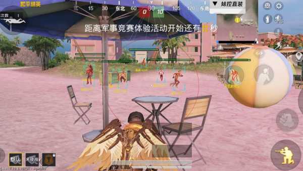 和平精英DDYS辅助